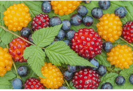 Alaskan Wild Berries Fragrance Oil, 1 oz