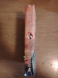 The Border Lord's Bride, by Bertrice Small, Border Chronicles Book 2, 2007 Hardcover