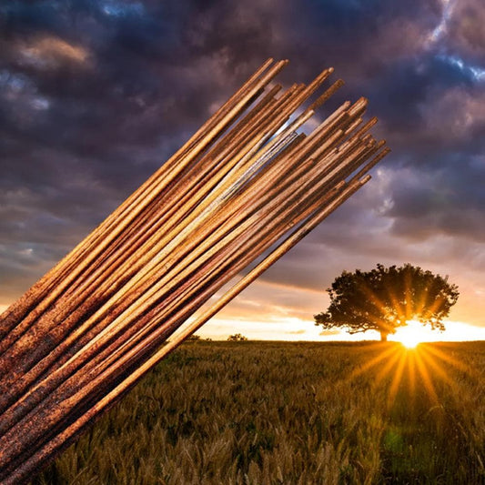 Good Earth Traditional 11 Inch Incense Sticks