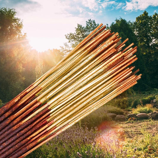 Sunshine Traditional 11 Inch Incense Sticks