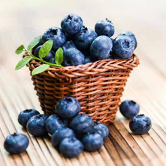 Blueberry Lip Balm Flavor, 0.5 oz