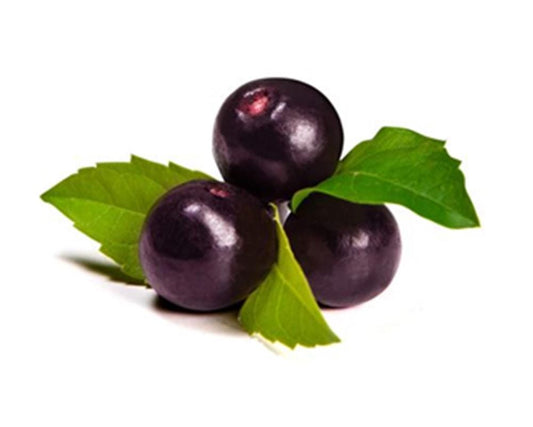 Acai Berry Fragrance Oil, 1 oz